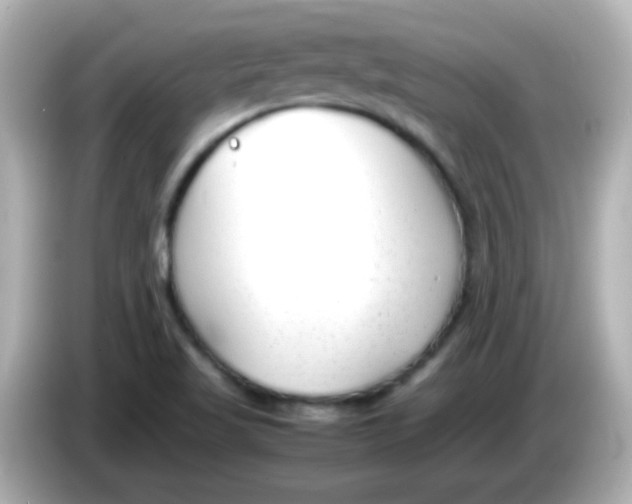 X0000085791509200704091420