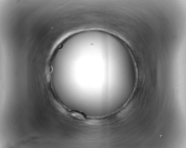 X0000085791510200704091420