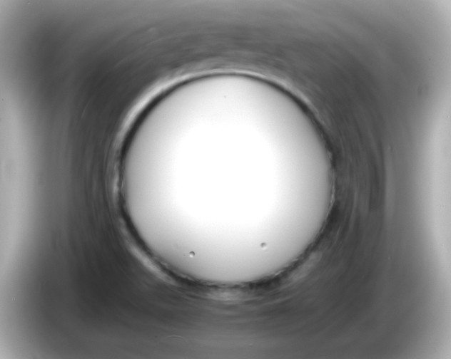 X0000085791511200704091421