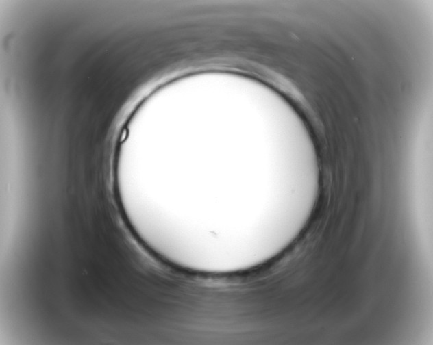 X0000085791512200704091421