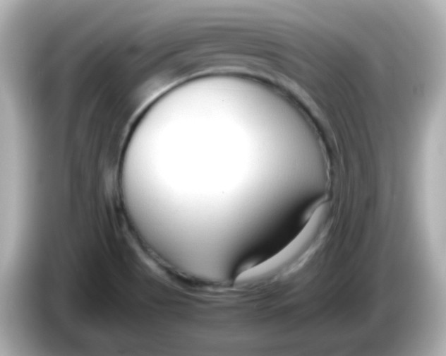 X0000085791513200704091421