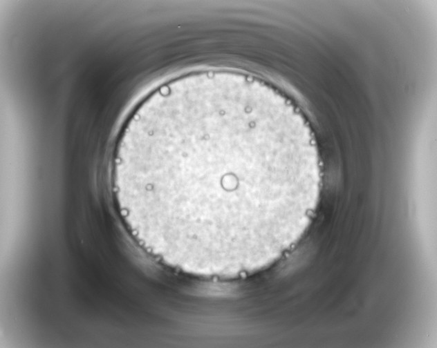 X0000085791514200704091421