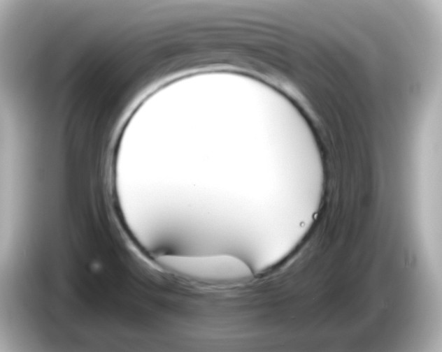 X0000085791516200704091421