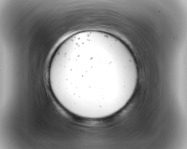 X0000085791517200704091421