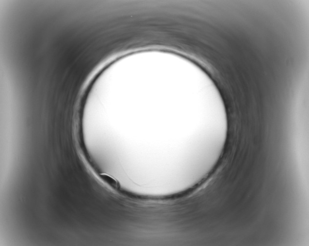 X0000085791518200704091421