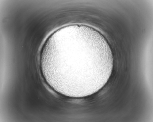 X0000085791519200704091421