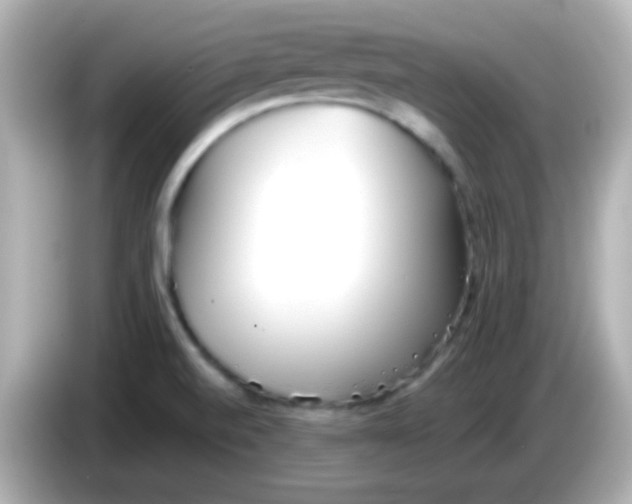 X0000085791520200704091421