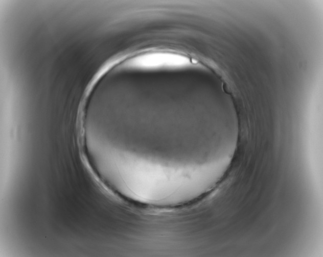 X0000085791522200704091421