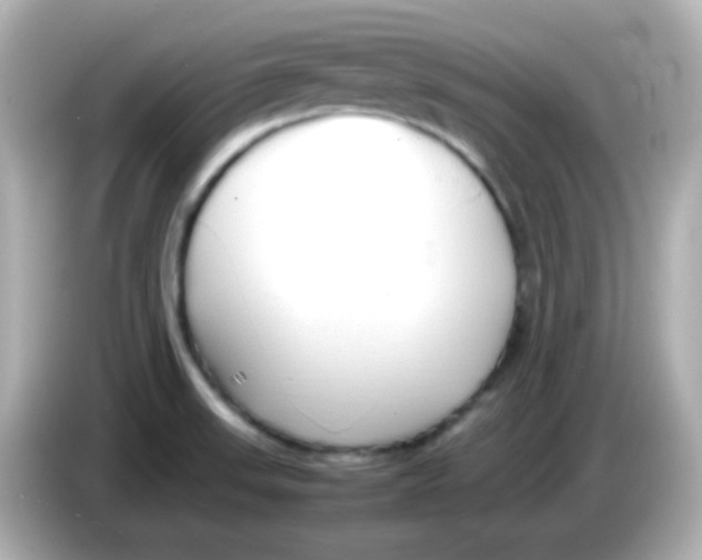 X0000085791523200704091421