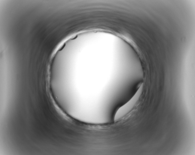 X0000085791524200704091421