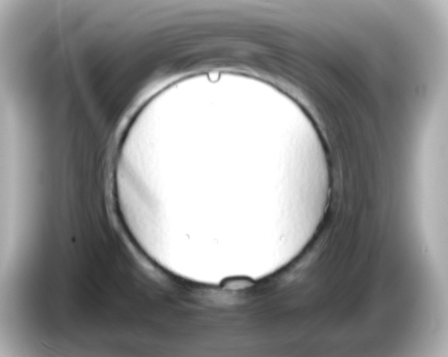 X0000085791525200704091421