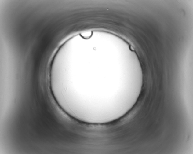 X0000085791526200704091421