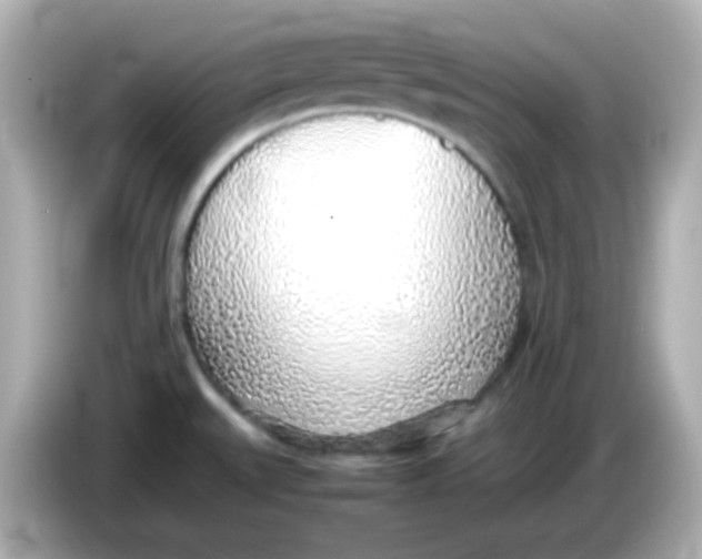 X0000085791527200704091421