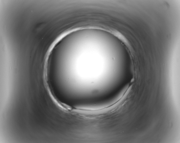X0000085791528200704091421