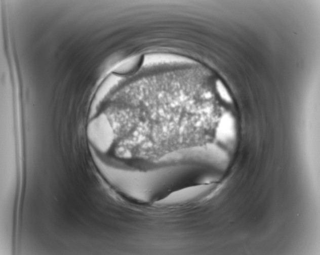 X0000085791529200704091421