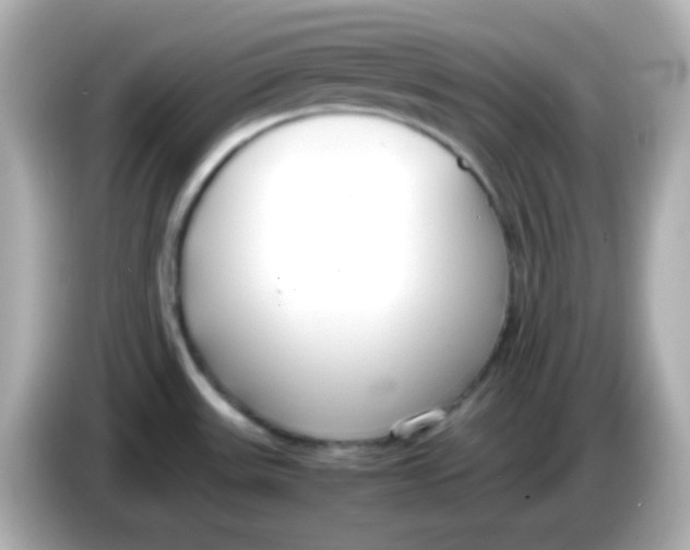 X0000085791531200704091421