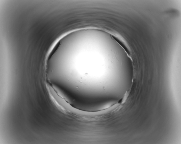 X0000085791532200704091421