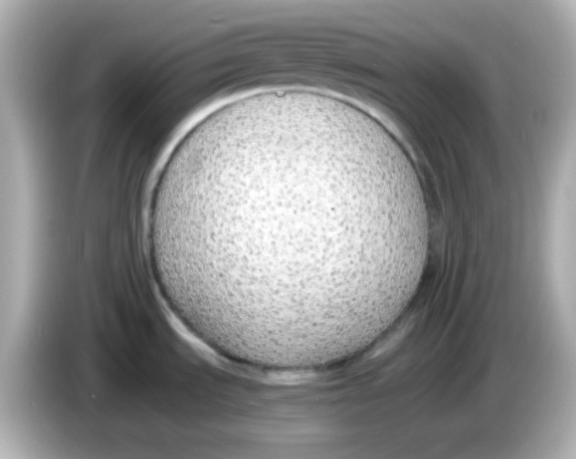 X0000085791535200704091421