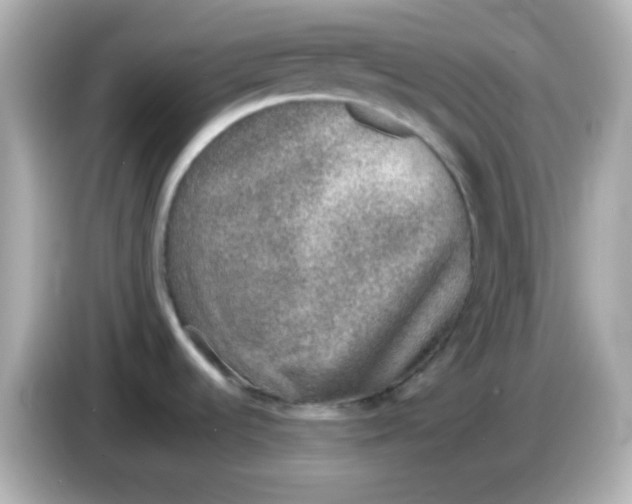 X0000085791536200704091421
