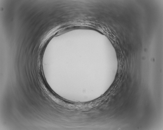 X0000085790005200704131907