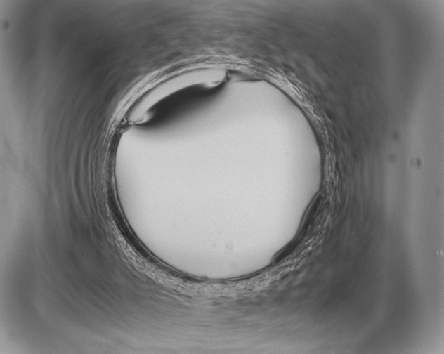 X0000085790007200704131906