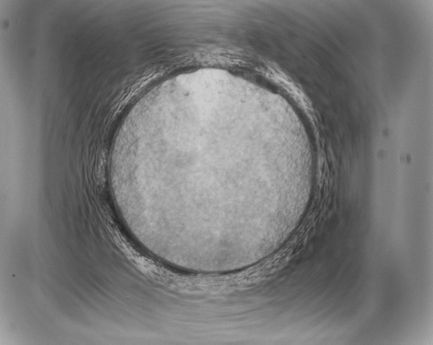 X0000085790009200704131906