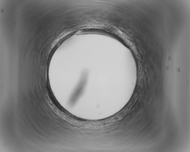 X0000085790011200704131906