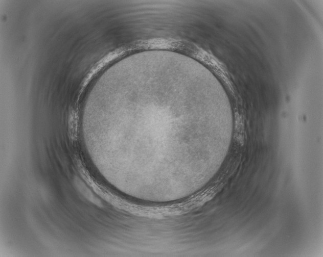 X0000085790012200704131906