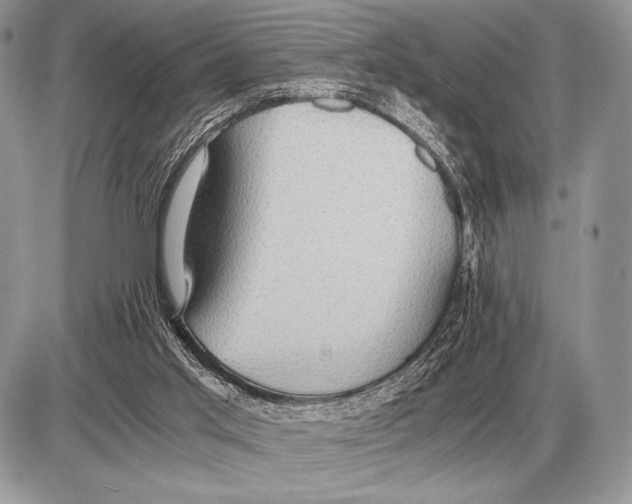 X0000085790013200704131906