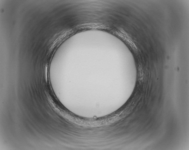 X0000085790014200704131906