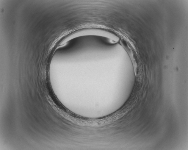 X0000085790015200704131906