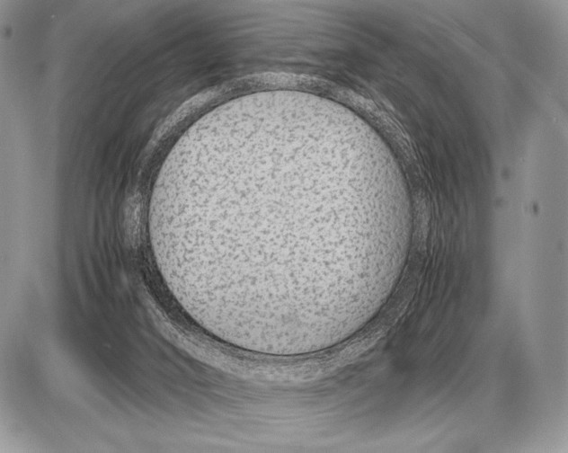 X0000085790016200704131906