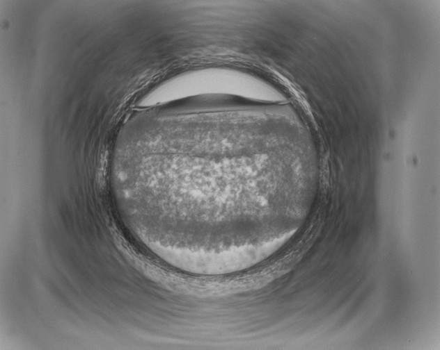 X0000085790018200704131906