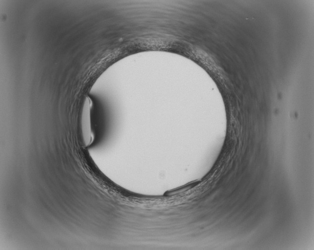 X0000085790021200704131906