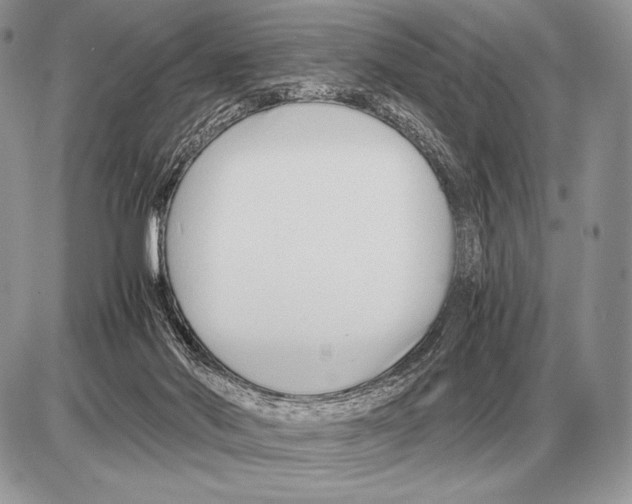 X0000085790022200704131906