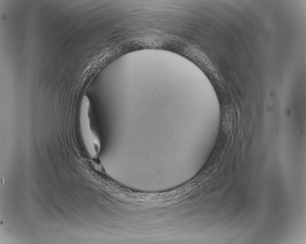 X0000085790023200704131906