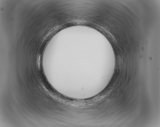 X0000085790024200704131906