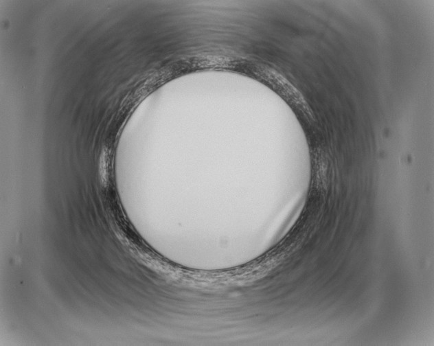 X0000085790026200704131906