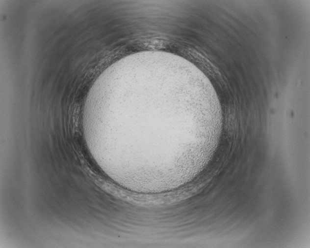 X0000085790030200704131906