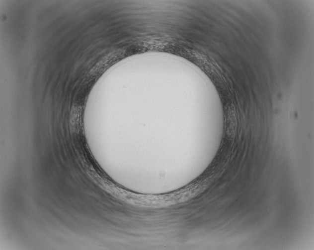 X0000085790034200704131906