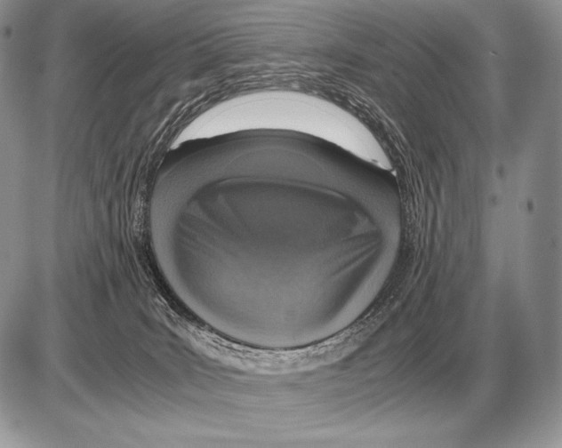 X0000085790035200704131906