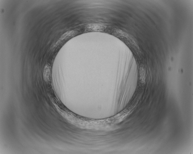 X0000085790036200704131906