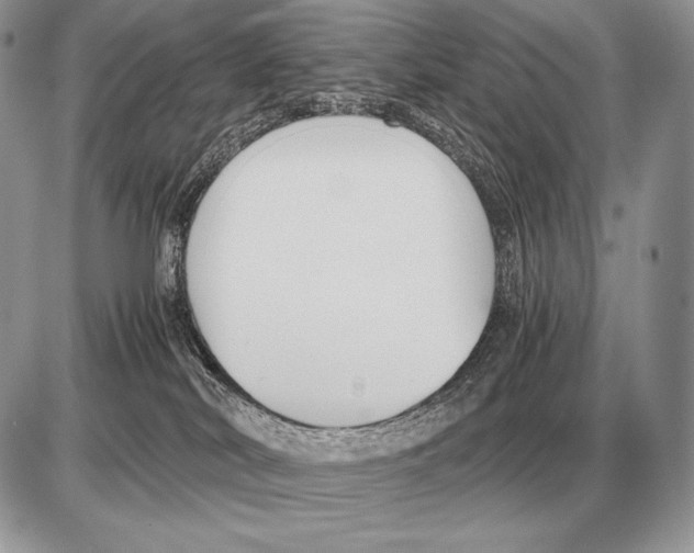 X0000085790038200704131906