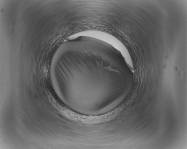 X0000085790039200704131906