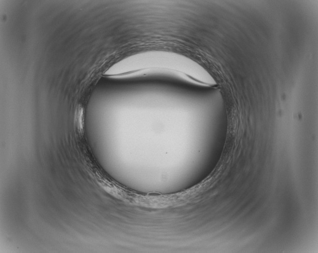 X0000085790041200704131906