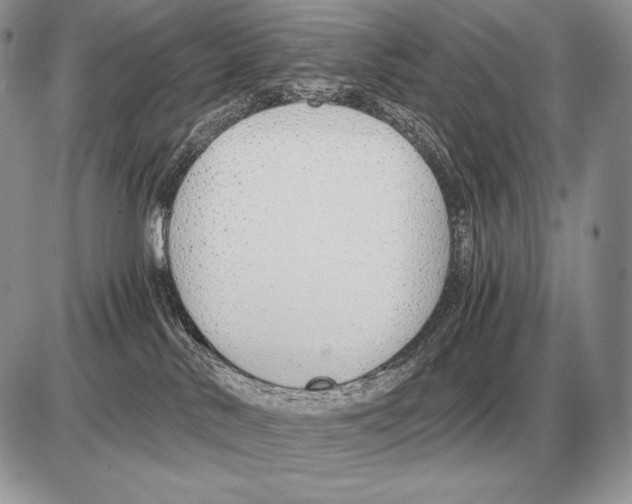 X0000085790042200704131906