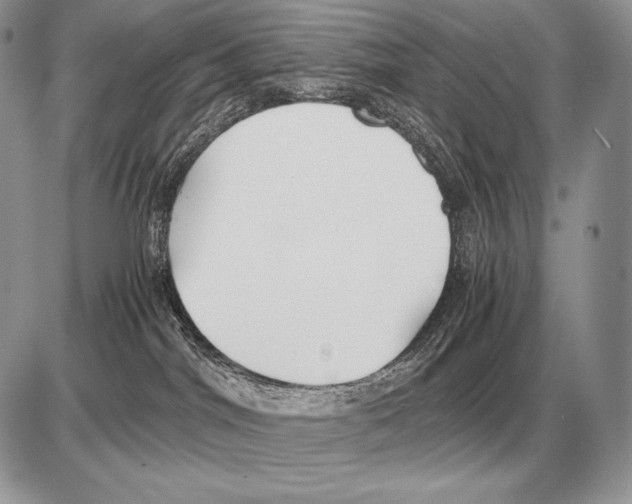 X0000085790044200704131906