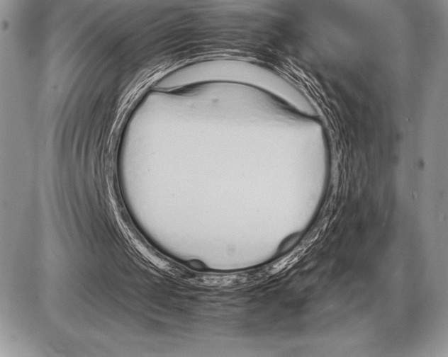 X0000085790049200704131905