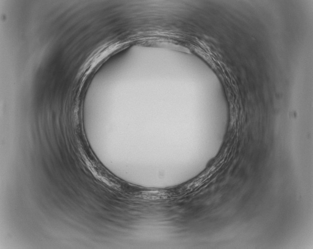 X0000085790050200704131905