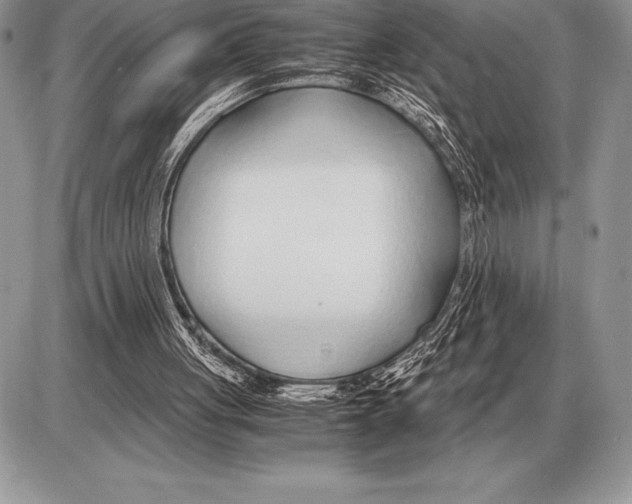 X0000085790051200704131905